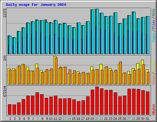 Daily usage for January 2024