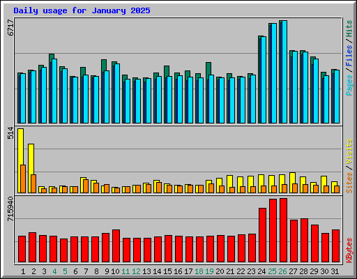 Daily usage for January 2025