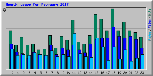 Hourly usage for February 2017