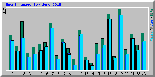 Hourly usage for June 2019