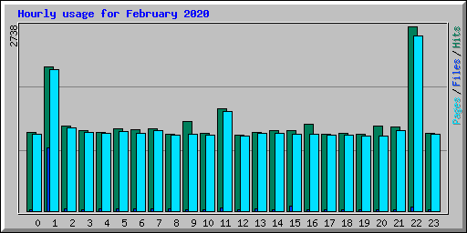 Hourly usage for February 2020