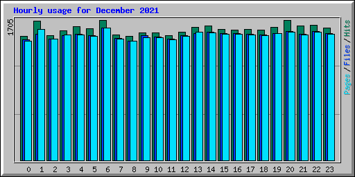 Hourly usage for December 2021