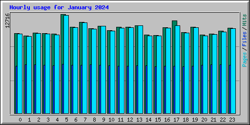 Hourly usage for January 2024