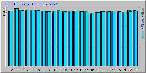 Hourly usage for June 2024