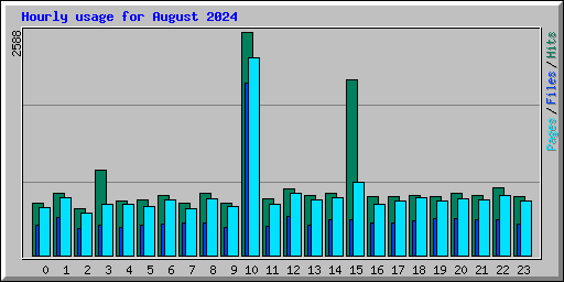 Hourly usage for August 2024