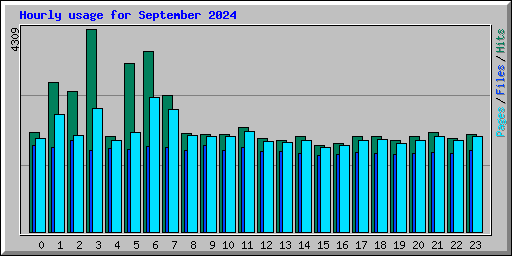 Hourly usage for September 2024