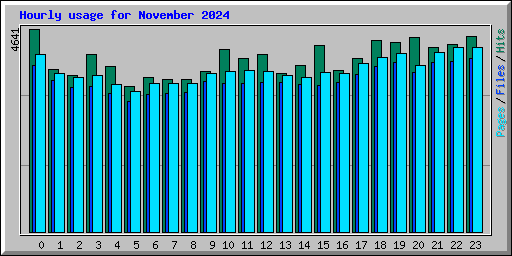 Hourly usage for November 2024