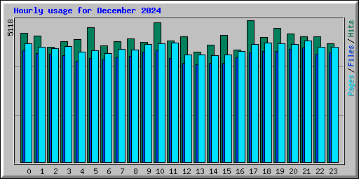 Hourly usage for December 2024