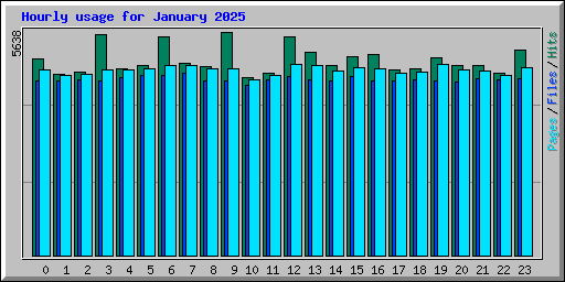 Hourly usage for January 2025
