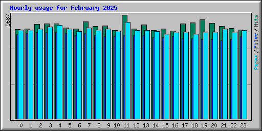 Hourly usage for February 2025