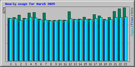 Hourly usage for March 2025