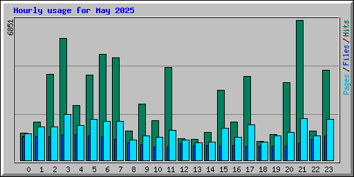 Hourly usage for May 2025