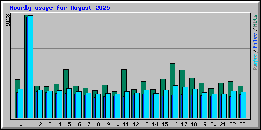 Hourly usage for August 2025