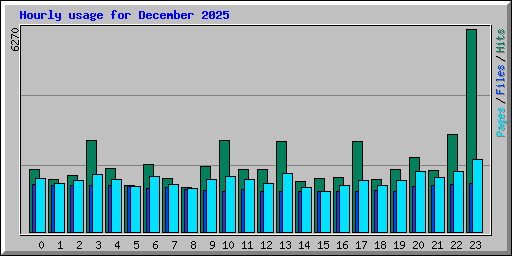 Hourly usage for December 2025