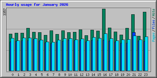 Hourly usage for January 2026